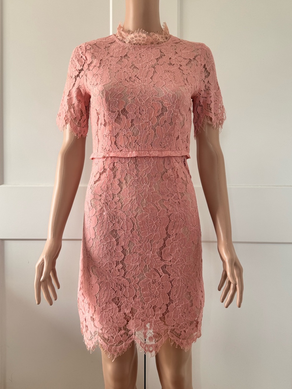 Sero Pink Lace Mock Neck Short Sleeves Mini Shift Dress Small S XS